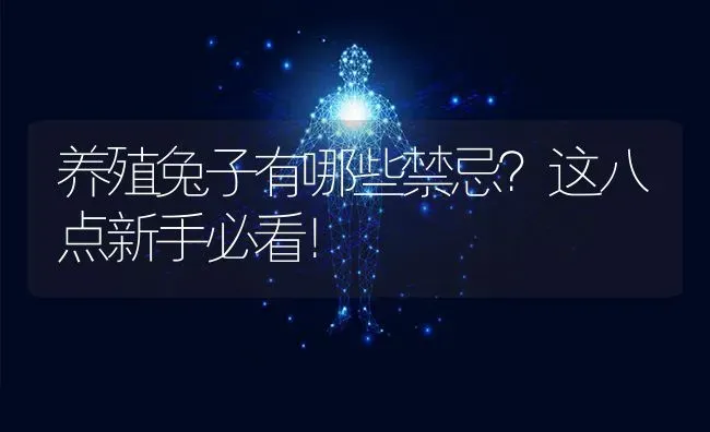 养殖兔子有哪些禁忌？这八点新手必看！ | 家畜养殖