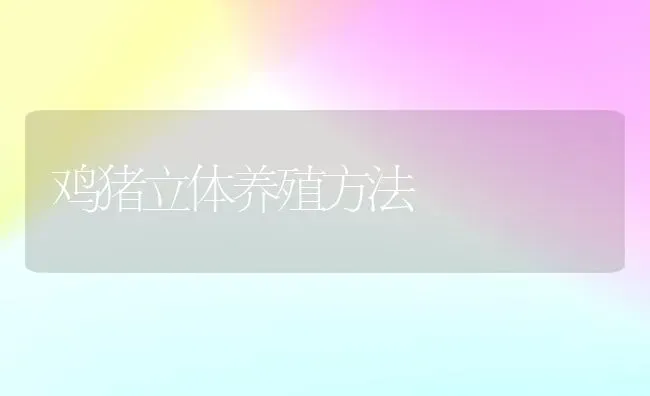 鸡猪立体养殖方法 | 家畜养殖