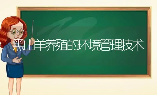 黑山羊养殖的环境管理技术 | 家畜养殖