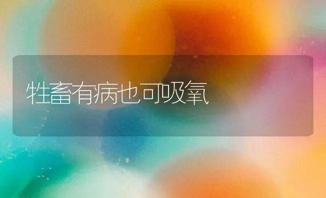 牲畜有病也可吸氧 | 家畜养殖