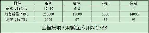 鱼体发毛发红鱼价低迷阶段挣钱秘诀