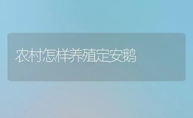 农村怎样养殖定安鹅 | 家禽养殖