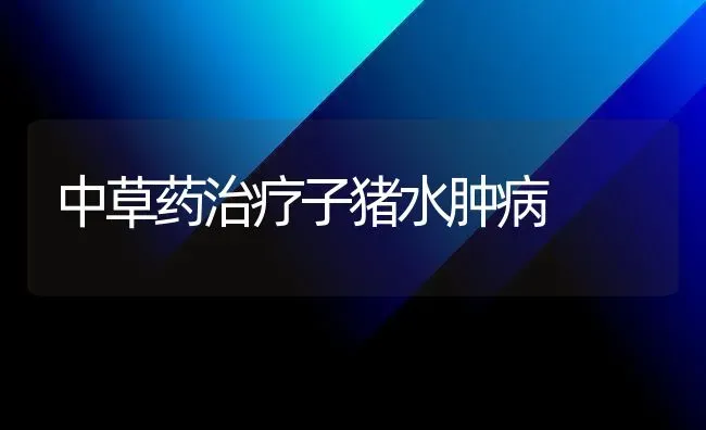 中草药治疗子猪水肿病 | 养殖病虫害防治