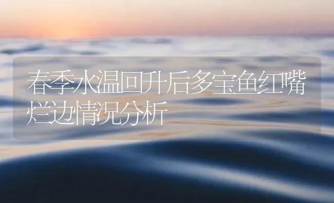 春季水温回升后多宝鱼红嘴烂边情况分析 | 海水养殖