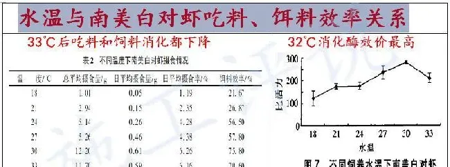 这波冷空气猛如虎，各地气温大跳水！水产养殖户如何做好准备？