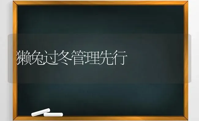 獭兔过冬管理先行 | 家畜养殖