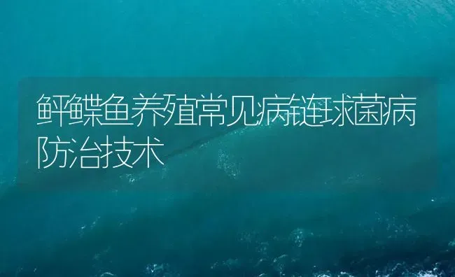 鲆鲽鱼养殖常见病链球菌病防治技术 | 海水养殖