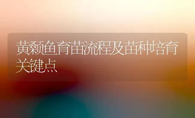 黄颡鱼育苗流程及苗种培育关键点 | 淡水养殖