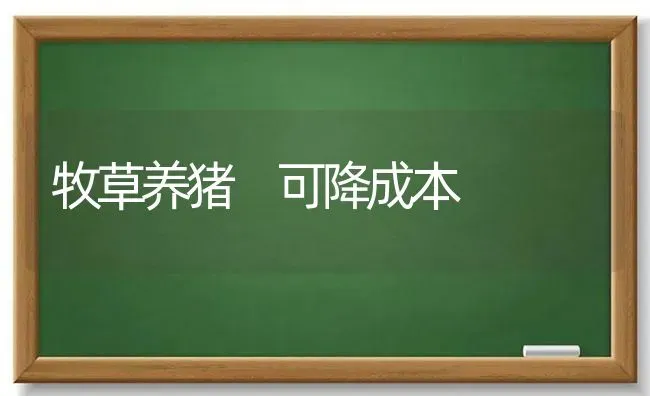 牧草养猪 可降成本 | 家畜养殖