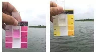 水产养殖过程中引起亚硝酸盐偏高的四个主要原因