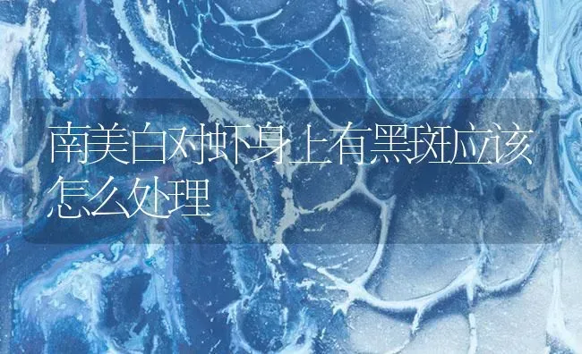 南美白对虾身上有黑斑应该怎么处理 | 海水养殖