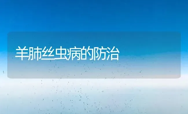羊肺丝虫病的防治 | 家畜养殖