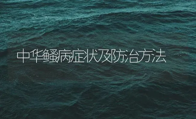 中华鳋病症状及防治方法 | 养殖病虫害防治
