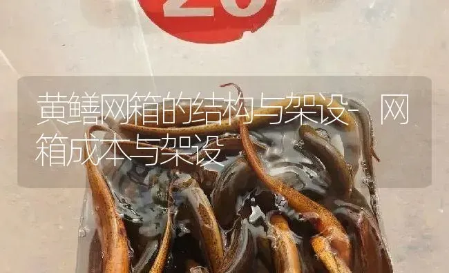 黄鳝网箱的结构与架设-网箱成本与架设 | 淡水养殖