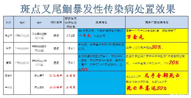 防治斑点叉尾鮰套肠 可以试一试治疗型饲料