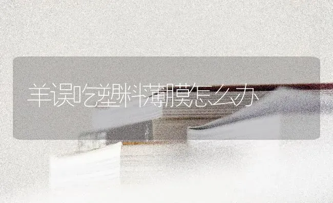 羊误吃塑料薄膜怎么办 | 家畜养殖