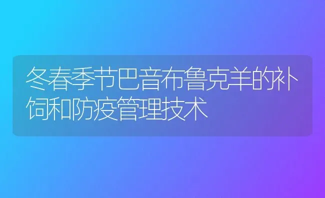 冬春季节巴音布鲁克羊的补饲和防疫管理技术 | 家畜养殖