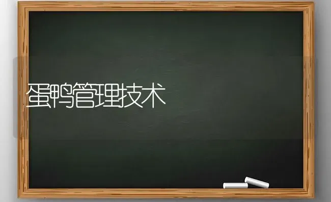 蛋鸭管理技术 | 家禽养殖