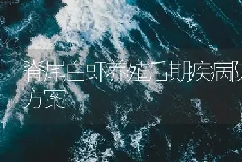 脊尾白虾养殖后期疾病防控方案