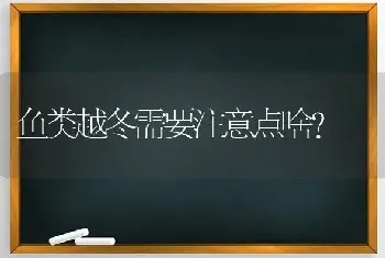 鱼类越冬需要注意点啥?