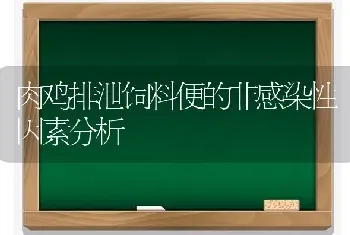 肉鸡排泄饲料便的非感染性因素分析