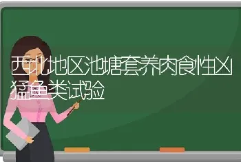 西北地区池塘套养肉食性凶猛鱼类试验