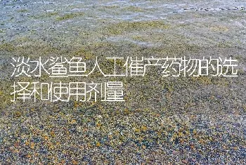 淡水鲨鱼人工催产药物的选择和使用剂量