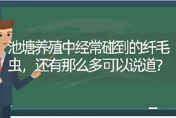 池塘养殖中经常碰到的纤毛虫,还有那么多可以说道?