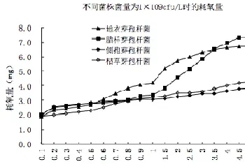 水产养殖中使用芽孢杆菌耗氧知多少?