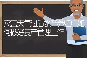 灾害天气过后水产养殖户如何做好复产管理工作