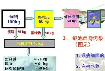 南美白对虾养殖实用技术六十九个问答