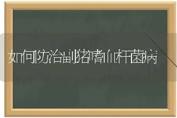 如何防治副猪嗜血杆菌病