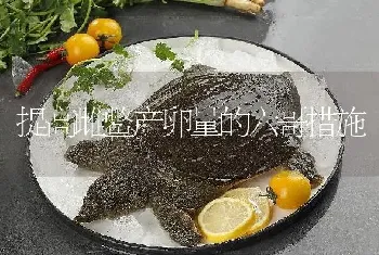 提高雌鳖产卵量的六哥措施