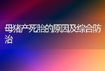 母猪产死胎的原因及综合防治