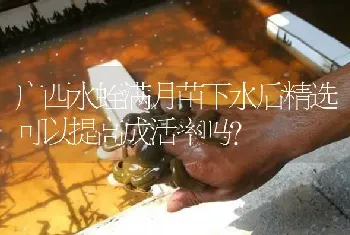 了解水蛭生态习性对于繁殖起到了重要的作用