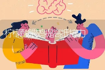 柠檬酸喂鸡提高抵抗力