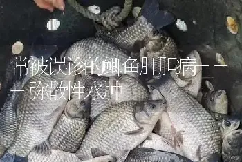 常被误诊的鲫鱼肝胆病---弥散性水肿