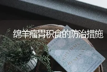 绵羊瘤胃积食的防治措施