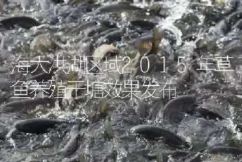 海大洪湖区域2015年草鱼养殖干塘效果发布