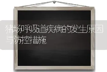 猪场呼吸道疾病的发生原因与防控措施