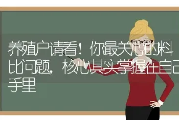 养殖户请看！你最关心的料比问题,核心其实掌握在自己手里