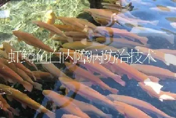 虹鳟鱼白内障病防治技术