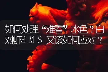 如何处理“难看”水色?白对虾EMS又该如何应对?