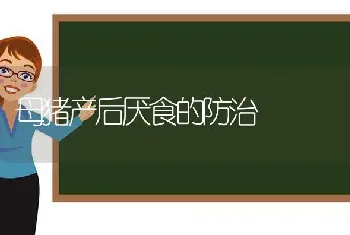 母猪产后厌食的防治