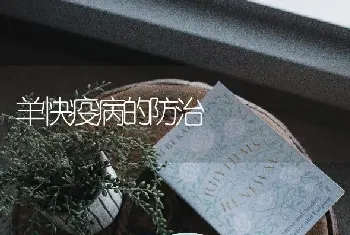 羊快疫病的防治