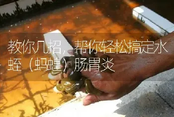 教你几招,帮你轻松搞定水蛭(蚂蝗)肠胃炎