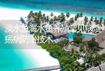 淡水鱼海水鱼养殖常见病溃疡病防治技术