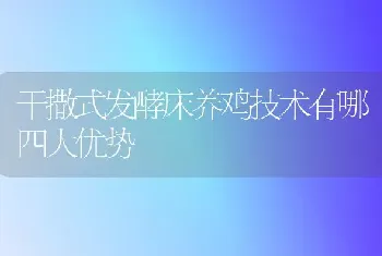 干撒式发酵床养鸡技术有哪四大优势