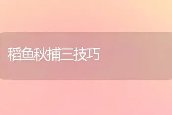 稻鱼秋捕三技巧