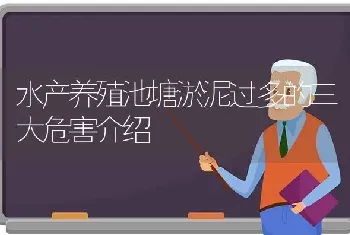 水产养殖池塘淤泥过多的三大危害介绍